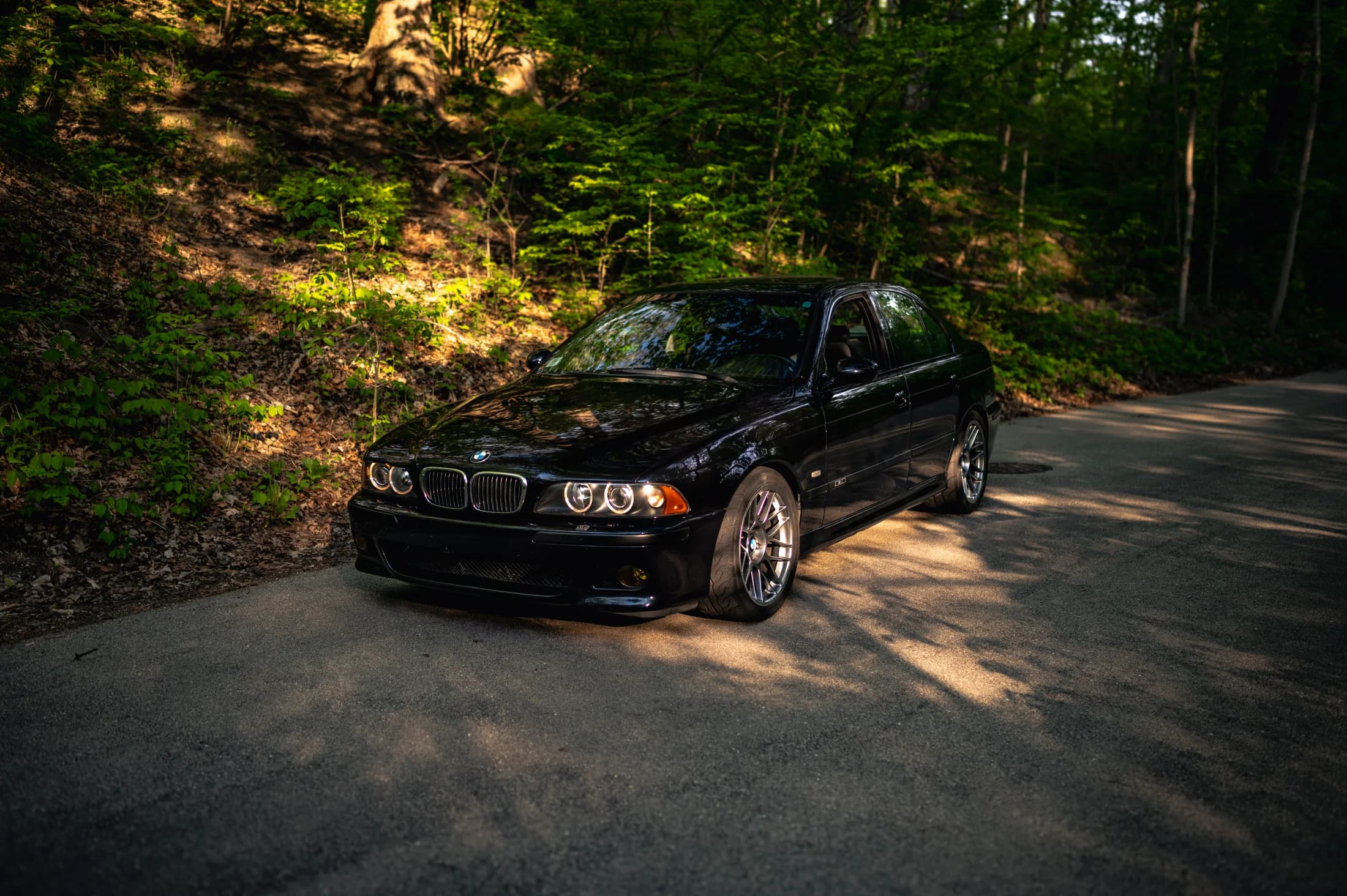 Black BMW E39 M5 photographed on a forest road