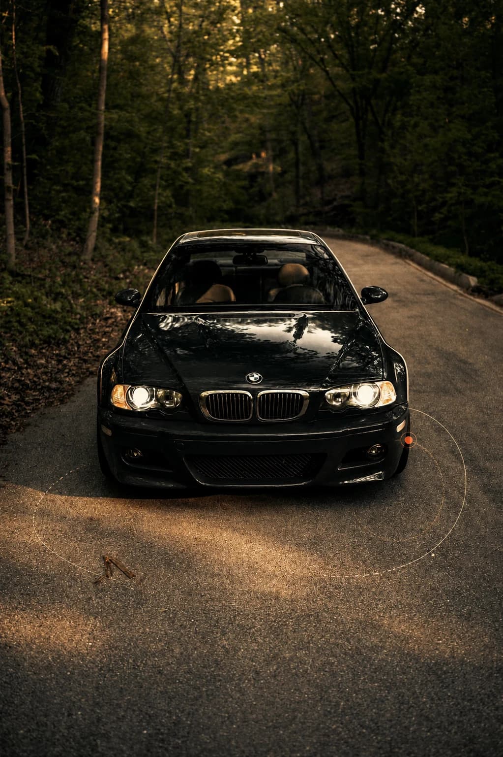 Blue BMW E46 M3 photographed head-on on a forest road